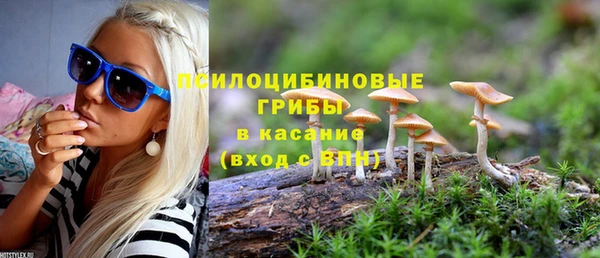 не бодяженный Вяземский