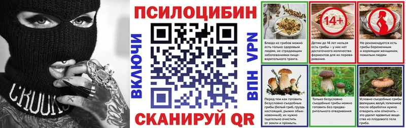 Псилоцибиновые грибы Cubensis Нягань